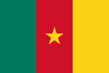 Cameroon badge